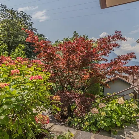 Vakantiehuis Candy House